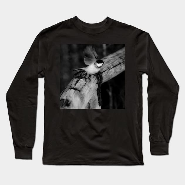 Chickadee taking flight in black and white. Long Sleeve T-Shirt by CanadianWild418